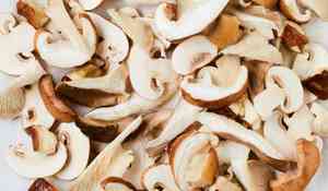 MELANGE CHAMPIGNON BIO