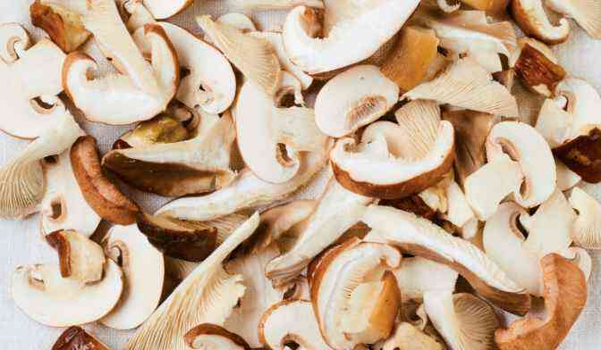 MELANGE CHAMPIGNON BIO