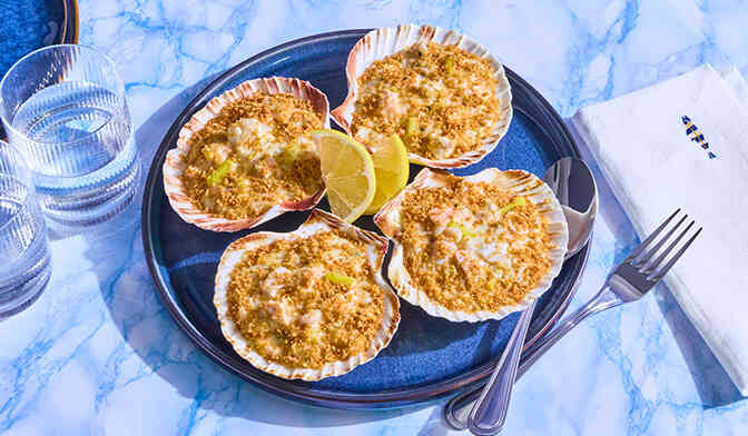 4 COQUILLES COLIN SAUMON