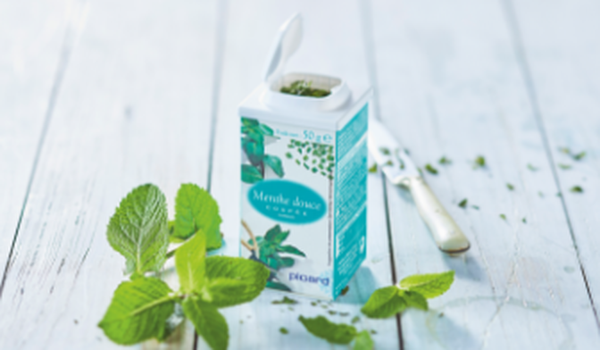 Menthe douce coupée