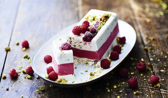 Nougat Glace Framboise Surgeles Picard