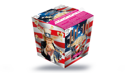 NEW POPCORN SUCRE 90G