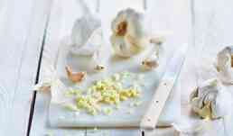 250G AIL COUPE (SAC)