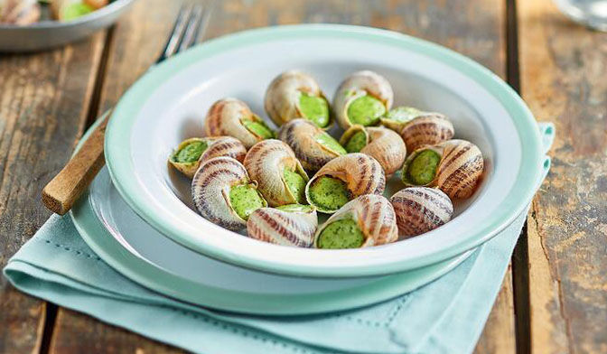 ESCARGOTS MOYEN X36
