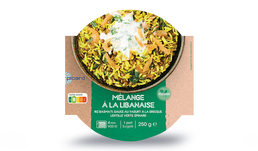 MELANGE A LA LIBANAISE