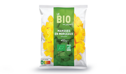 450G MANGUES MORCEAUX BIO