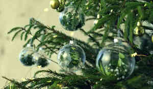 Boule de Noël végétale