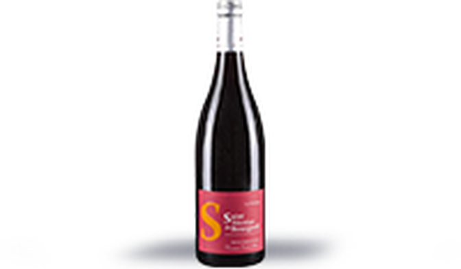 Les Graviers, Saint Nicolas de Bourgueil