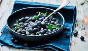 BLUEBERRIES BIO 450G