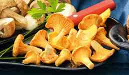 300G GIROLLES