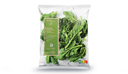 1KG EPINARDS BRANCHE