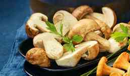 300G JEUNES CEPES COUPES