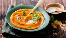 PUREE CAROTT/LENTILLE BIO