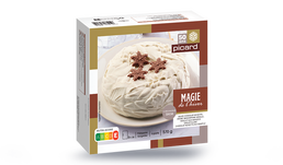 MAGIE DE L'HIVER 570G