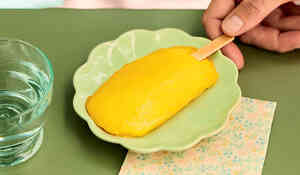 1 BATONNET MANGUE 66G