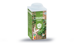 50G CORIANDRE COUPEE