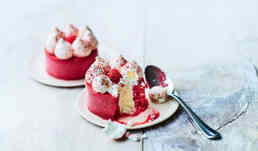 2 VACHERIN VANILLE/FRAMB