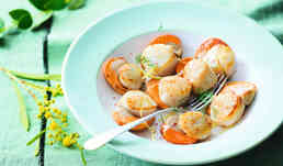 NX ST JACQ PECTEN FRANCE