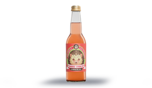 Kombucha framboise citron vert bio