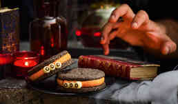 2 monstres glac&eacute;s