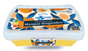 POT SORBET MANG/GINGEMBRE