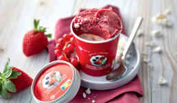 1 POT FACON PAVLOVA 89G