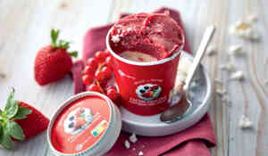 1 POT FACON PAVLOVA 89G