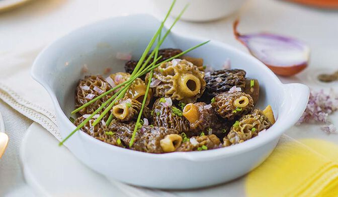 Morilles