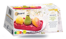 B&ucirc;che glac&eacute;e fruits rouges mangue citron jaune poire