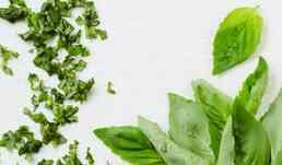 BASILIC COUPE BIO 50G