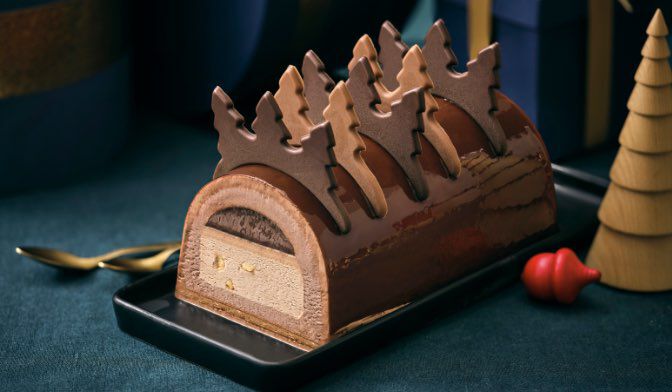 Bûche glacée chocolat