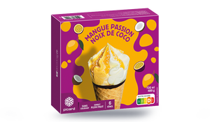 6 CONE MANGUE/PASSION