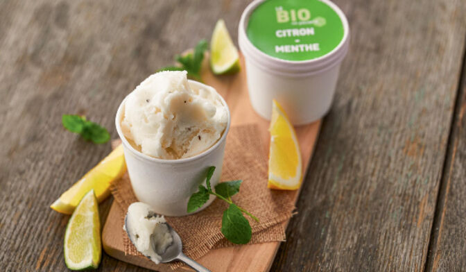 2 MINI POT MENTHE CITRON BIO
