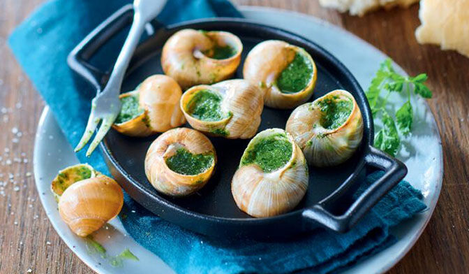 36 escargots belle grosseur