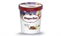 VANILLA PECAN H-DAZS 400G