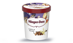 VANILLA PECAN H-DAZS 400G