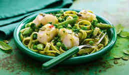 DOS MERLU /LEG VERTS