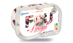 CREME GLACEE NOUGAT 515G