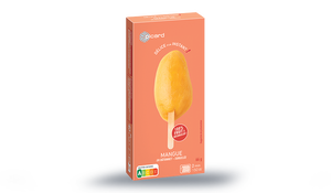 1 BATONNET MANGUE 66G