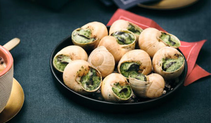 ESCARGOTS B/G(GROS) X50