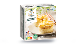 480G 4 MINI-GRATINS PDT