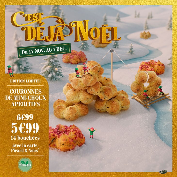 Bannière présentant une sélection de produits festifs “C’est déjà Noël” en promotion, illustrée par un visuel de mini-choux dans un décor enneigé miniature.
