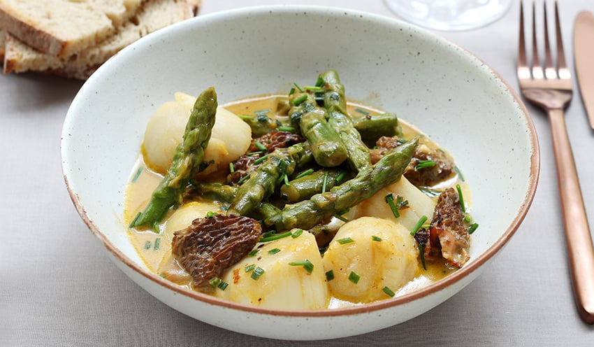 Fricass&eacute;e de Saint-Jacques aux morilles