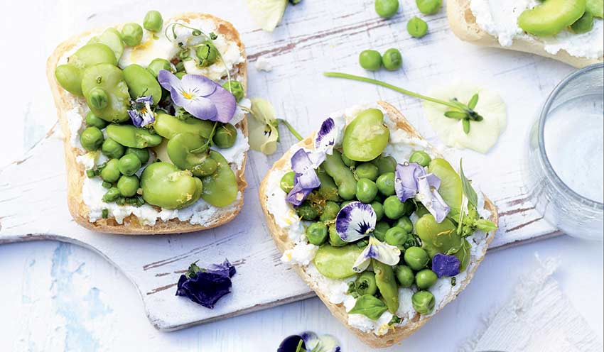 Tartine de ch&egrave;vre frais aux herbes, f&egrave;ves et petits pois