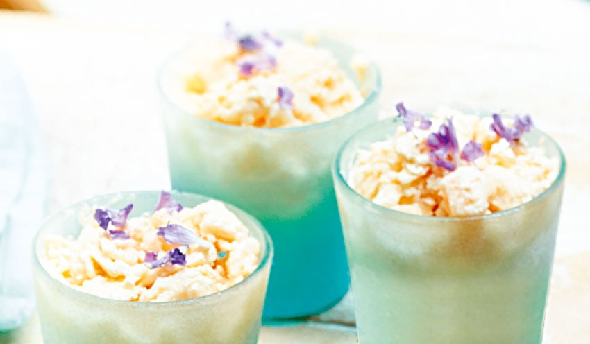 Yaourt glac&eacute; express au melon