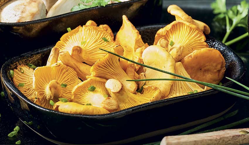 Girolles Surgeles Les Legumes Picard