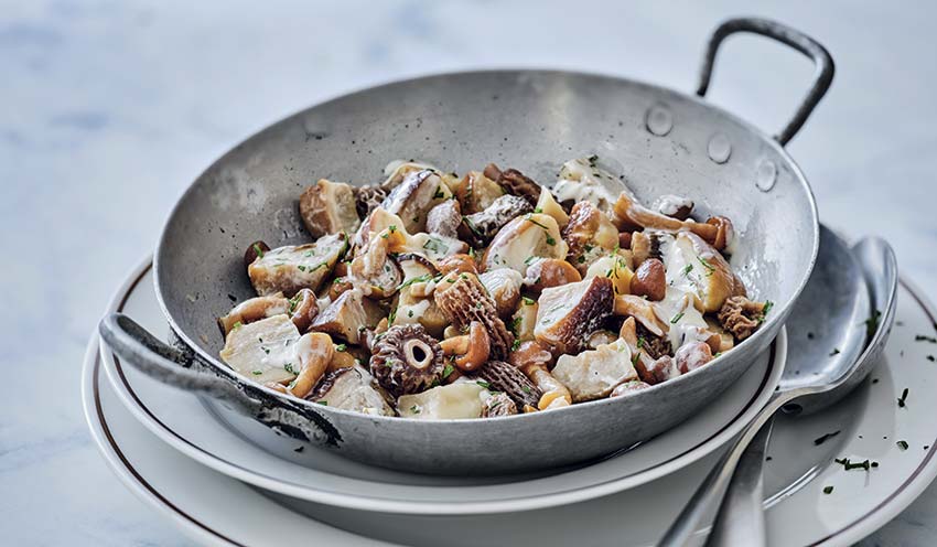 Mélange de champignons forestiers à la crème — vue 2