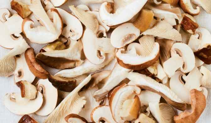 Mélange de champignons bio — vue 2