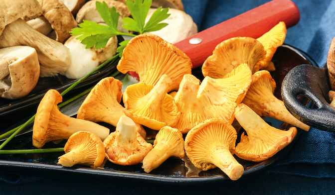 Girolles — vue 2