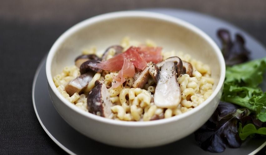 Coquilletto de jeunes c&egrave;pes